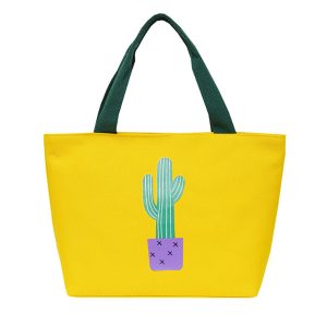 Students Carry Lunchbox Bags And Bento Bags